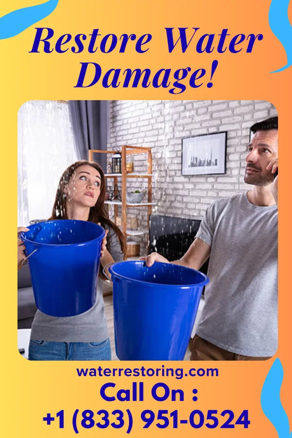 water restoration Lightning Disaster Cleanup Clinton