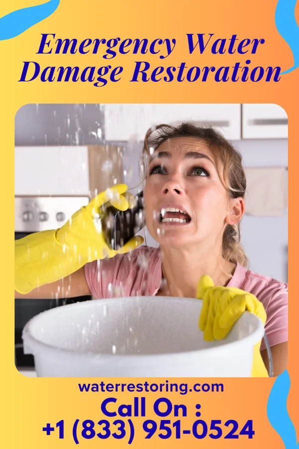 Emergency Water Damage Restoration in Clinton, MI