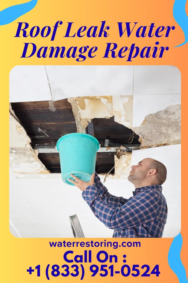 Roof Leak Water Damage Repair in Clinton, MI